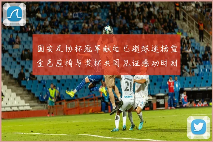 国安足协杯冠军献给已逝球迷杨雪金色座椅与奖杯共同见证感动时刻